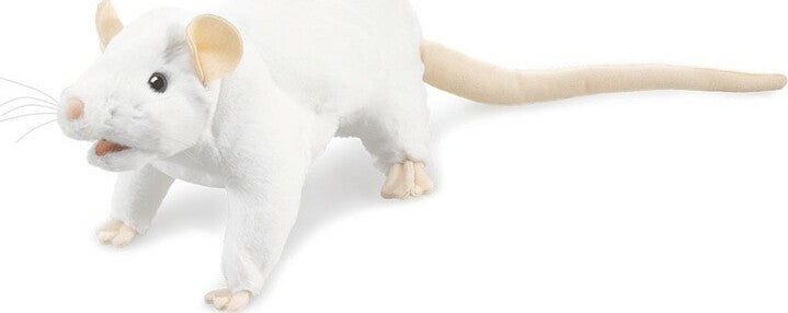 White Rat