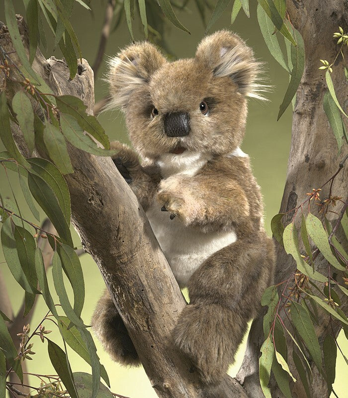 Koala Puppet