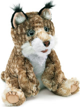 Bobcat Kitten