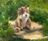 Bobcat Kitten