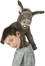 Baby Donkey