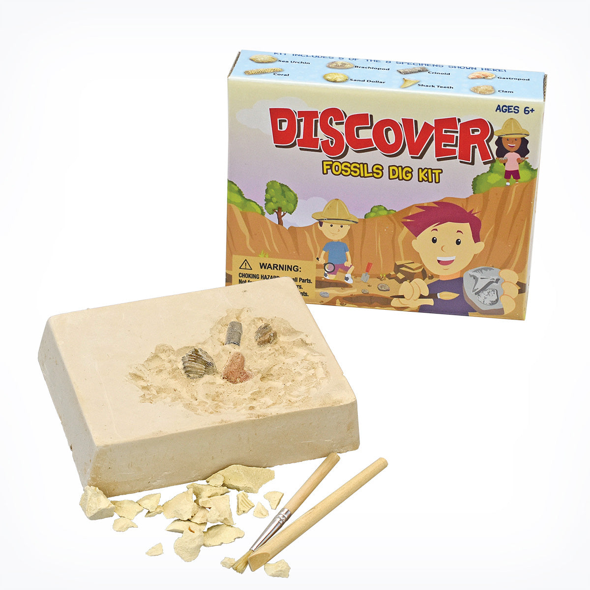 Fossil Excavation Kit