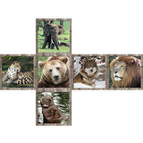V-Cube Wild Animals 2B Cube Toy