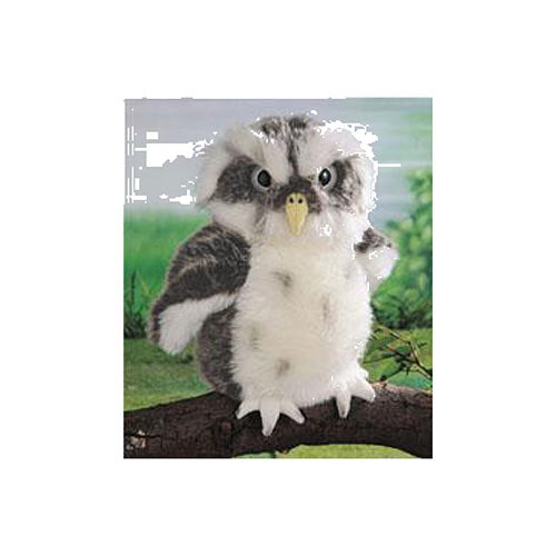 Hooters Owl