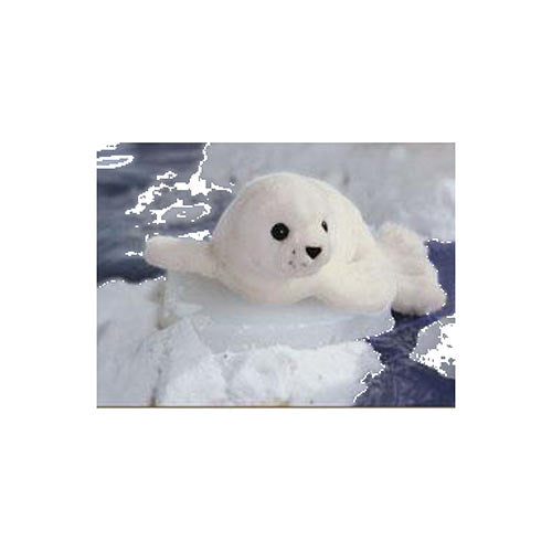 Aquatic Wonders Seal