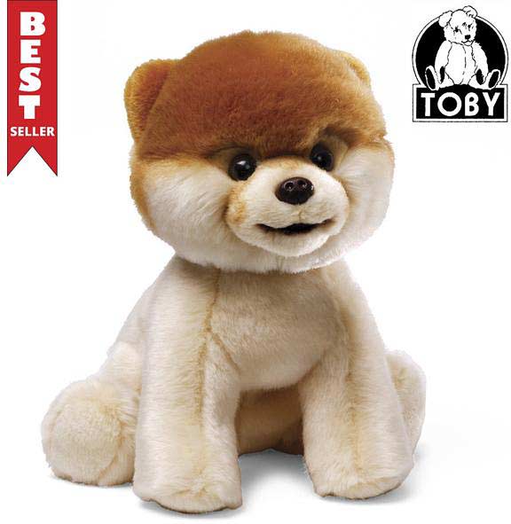 Boo - The World'S Cutest Dog