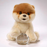 Boo - The World'S Cutest Dog