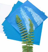 Herschel Solar Print 4"