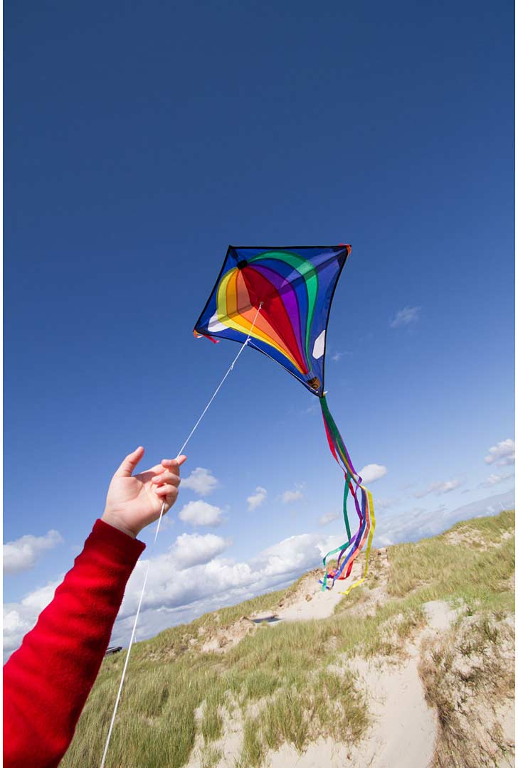 Eddy Hot Air Balloon Diamond