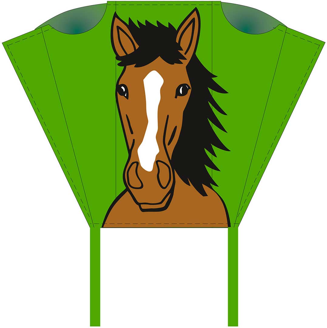 Pocket Sled Display (Assorted Designs: 24 Pcs)