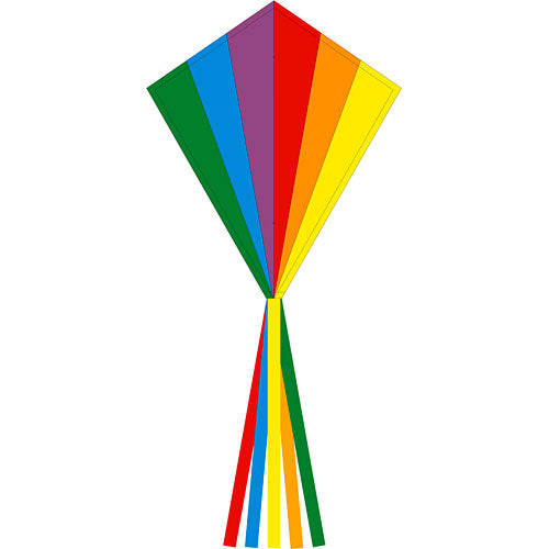 Eddy Rainbow 28"