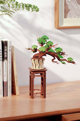 Modern Wooden Puzzle: Evergreen Pine Bonsai (Prepacked PDQ)