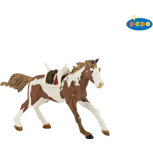 Indian Horse