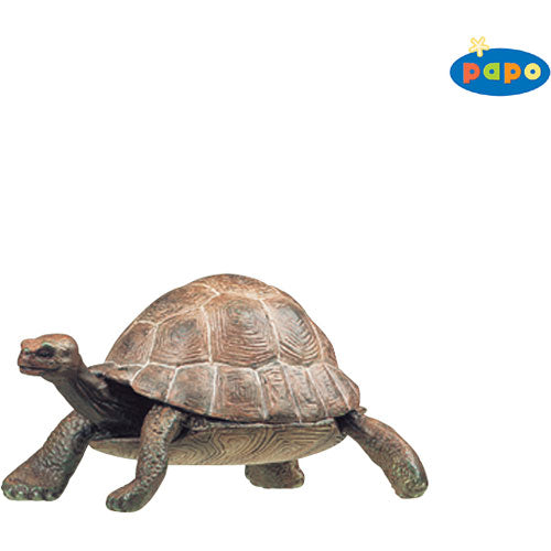 Papo Tortoise
