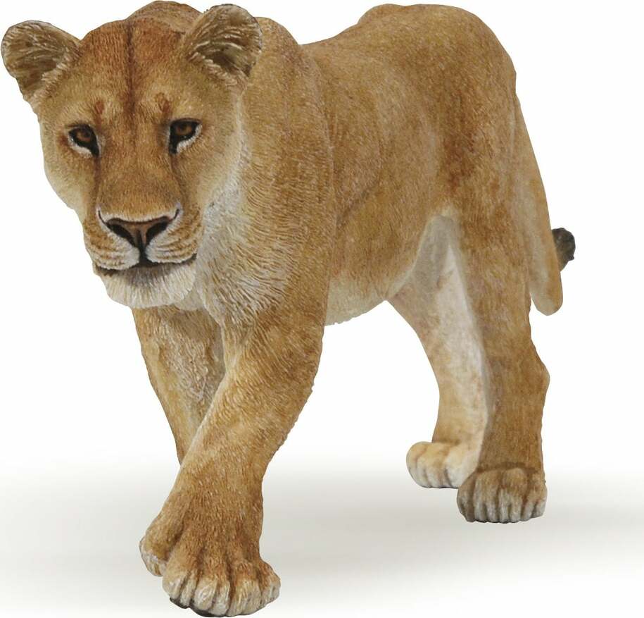 Papo Lioness