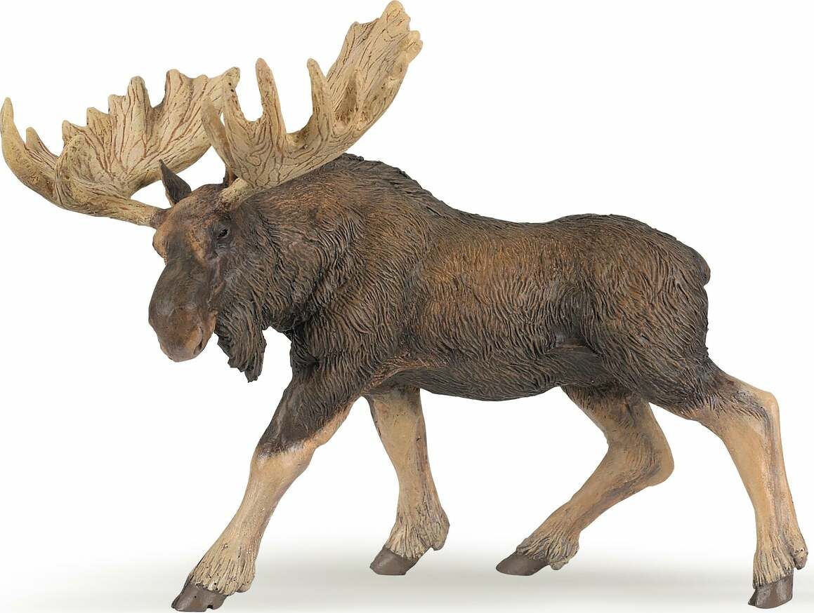 Papo Moose