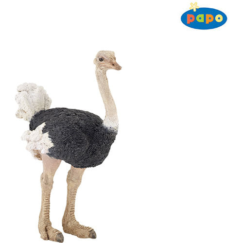 Papo Ostrich