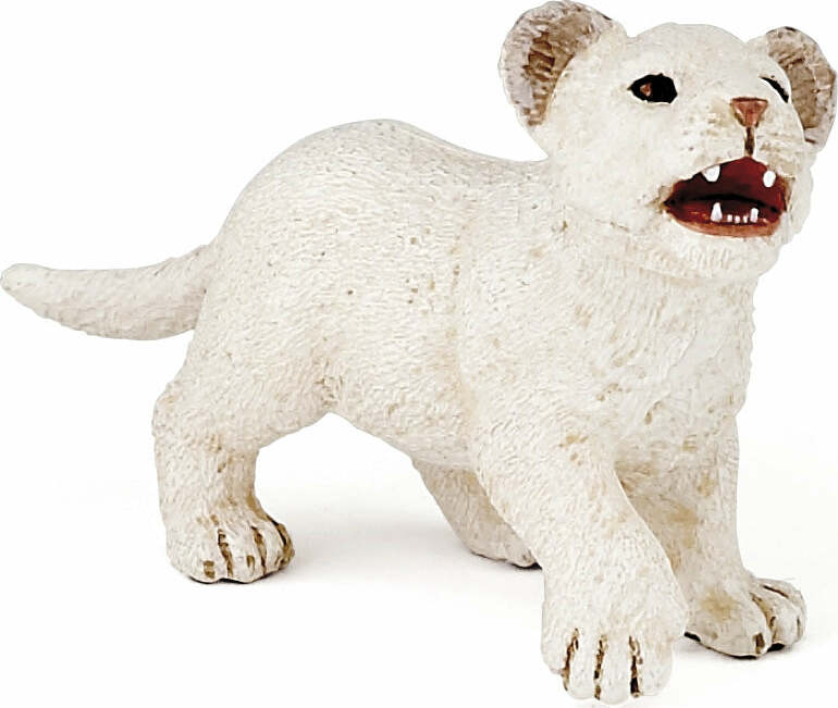 Lion Cub