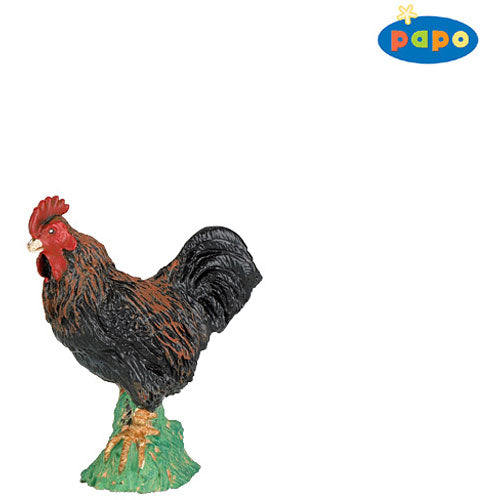 Papo Rooster