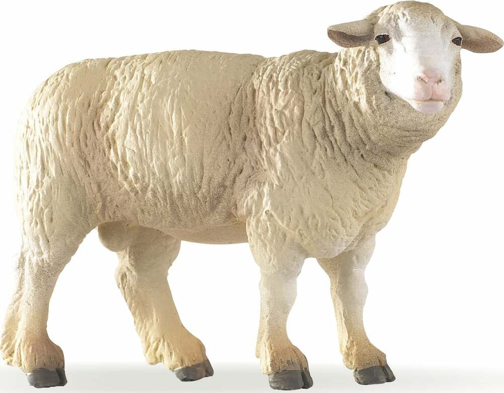 Papo Merinos Sheep