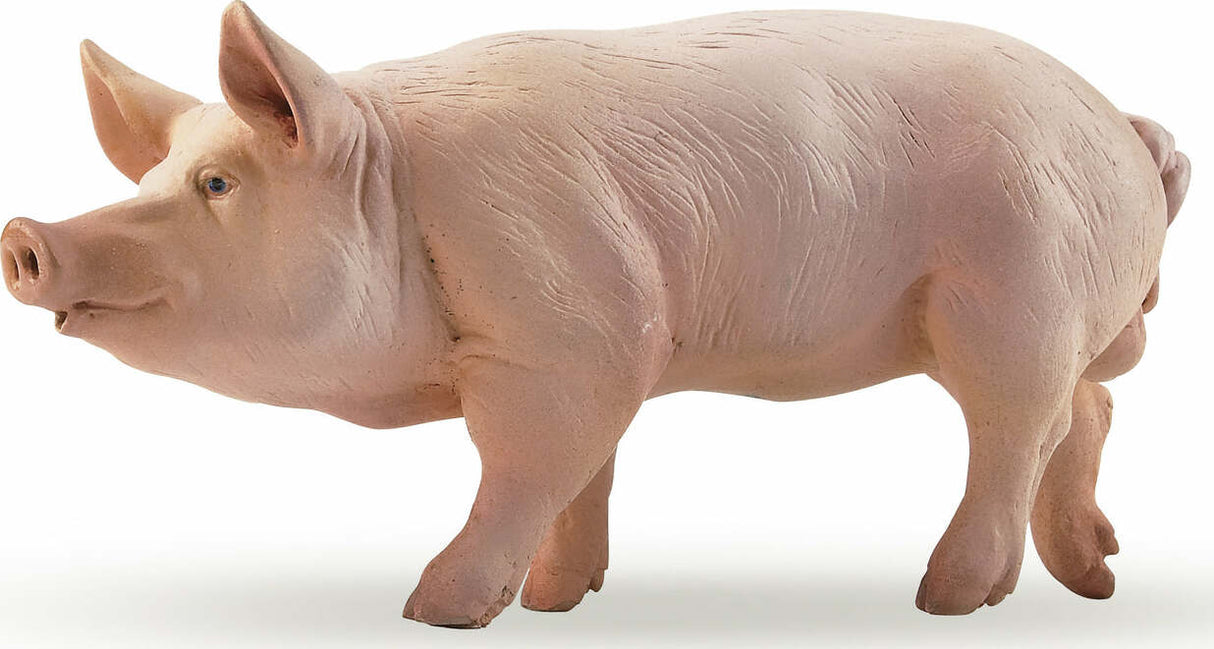 Papo Boar