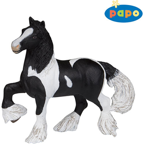Irish Cob