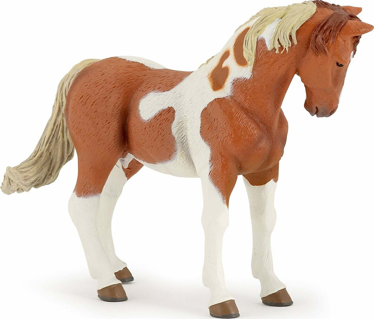 Papo Pinto Mare