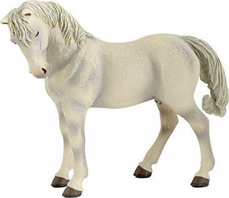 Lipizzaner Mare