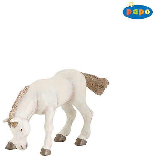 Horse Eating