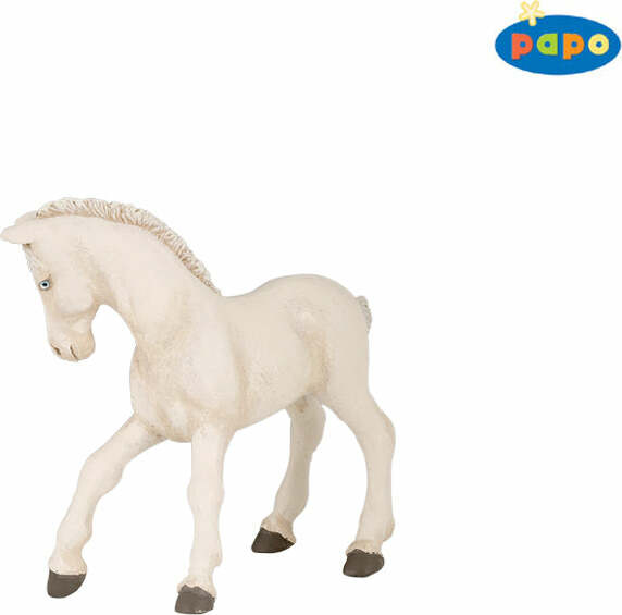 Cremello Foal