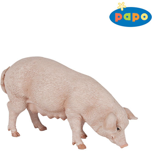Papo Sow