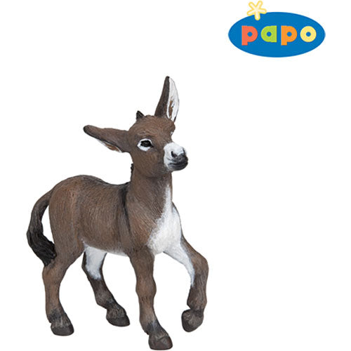Donkey Foal