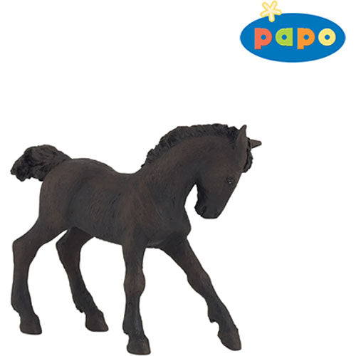 Frisian Foal