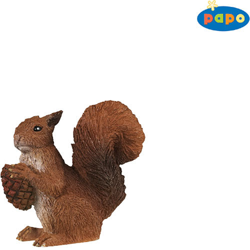 Squirrel