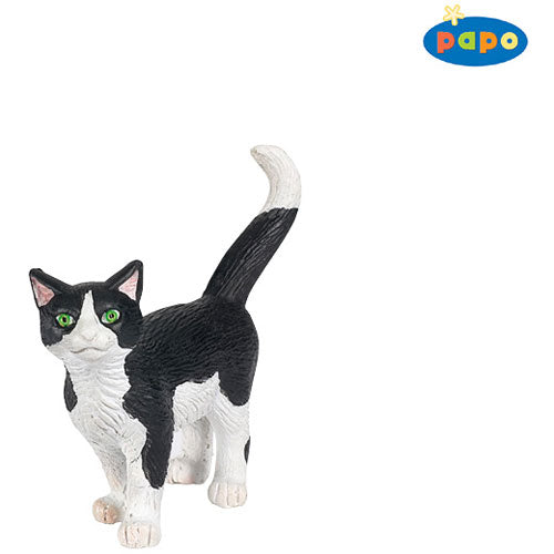 Tom Cat