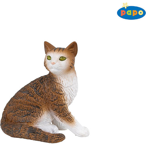 Female Cat
