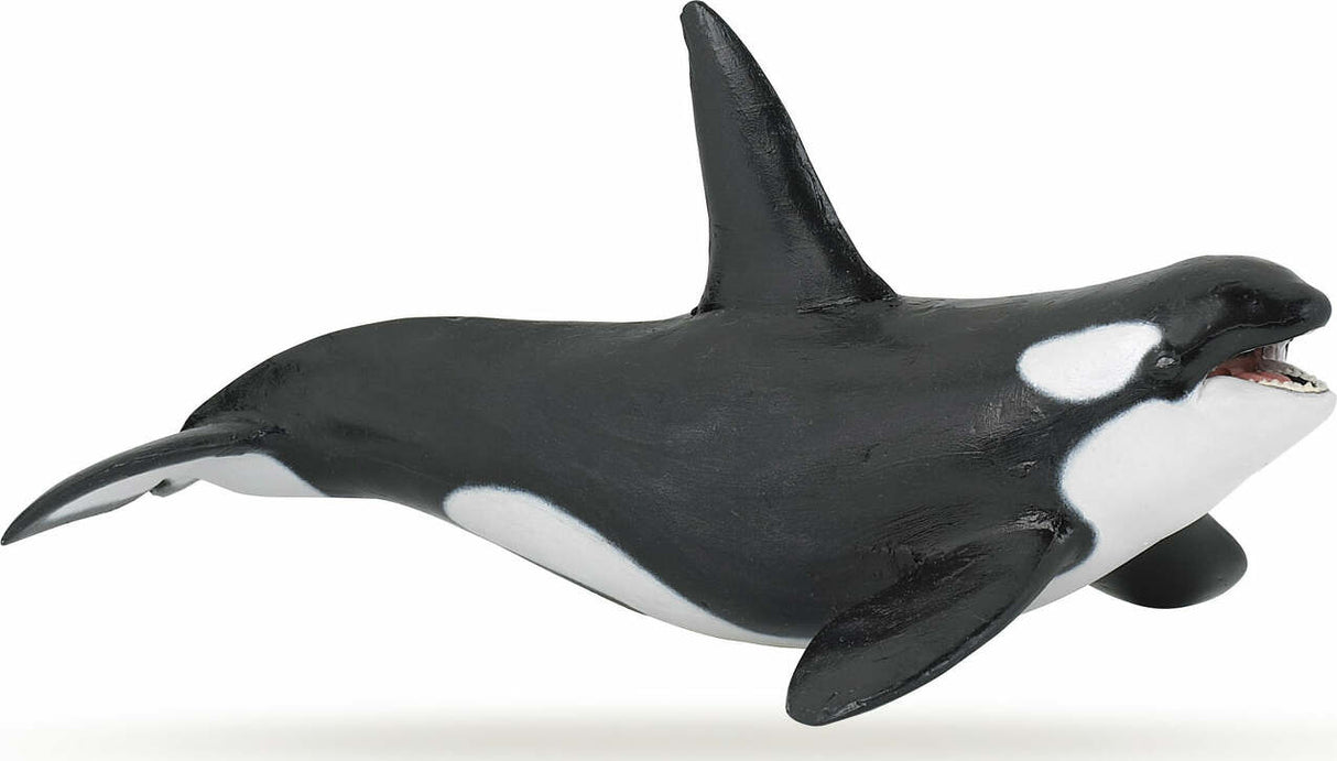 Papo Killer Whale