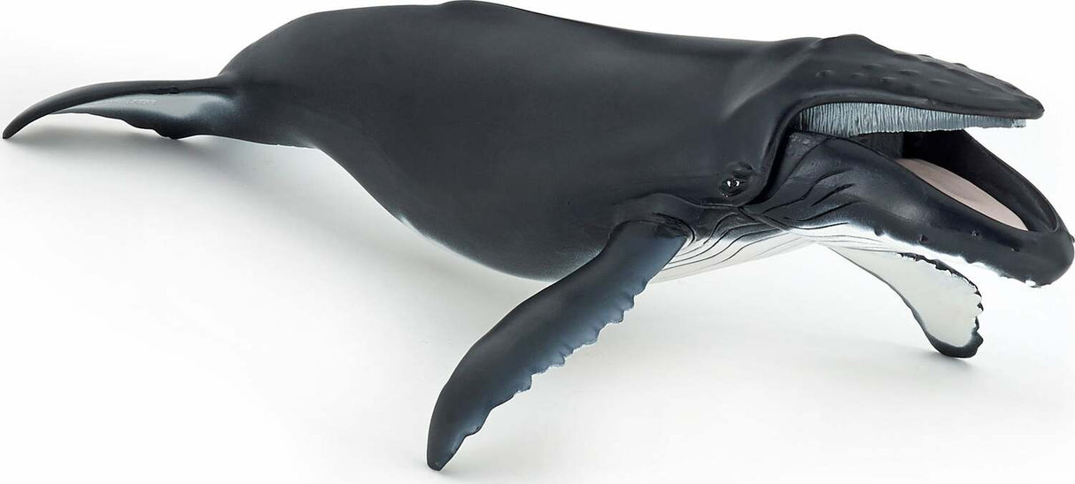 Papo Humpback Whale