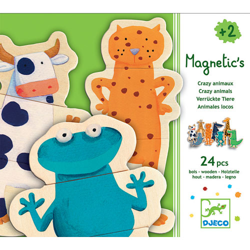 Djeco Magnetics Crazy