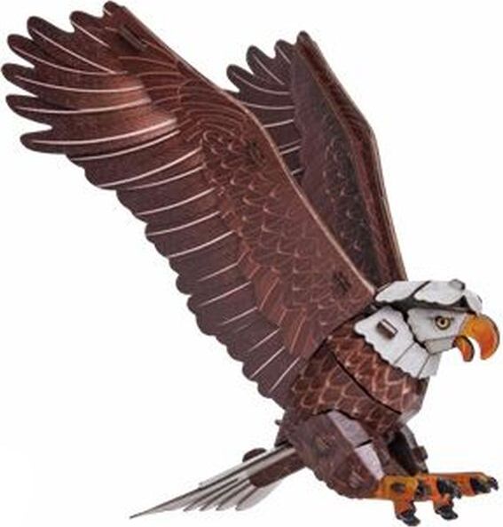 Sky Echo Bald Eagle 