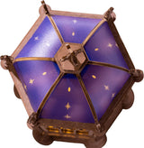 Rose Window Starry Dome Cathedral