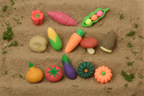 Vegetable Eraser-30