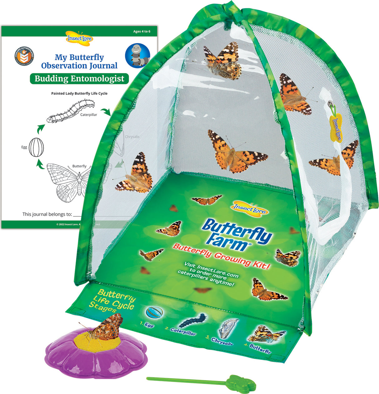 Butterfly Farm