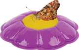 Butterfly Farm
