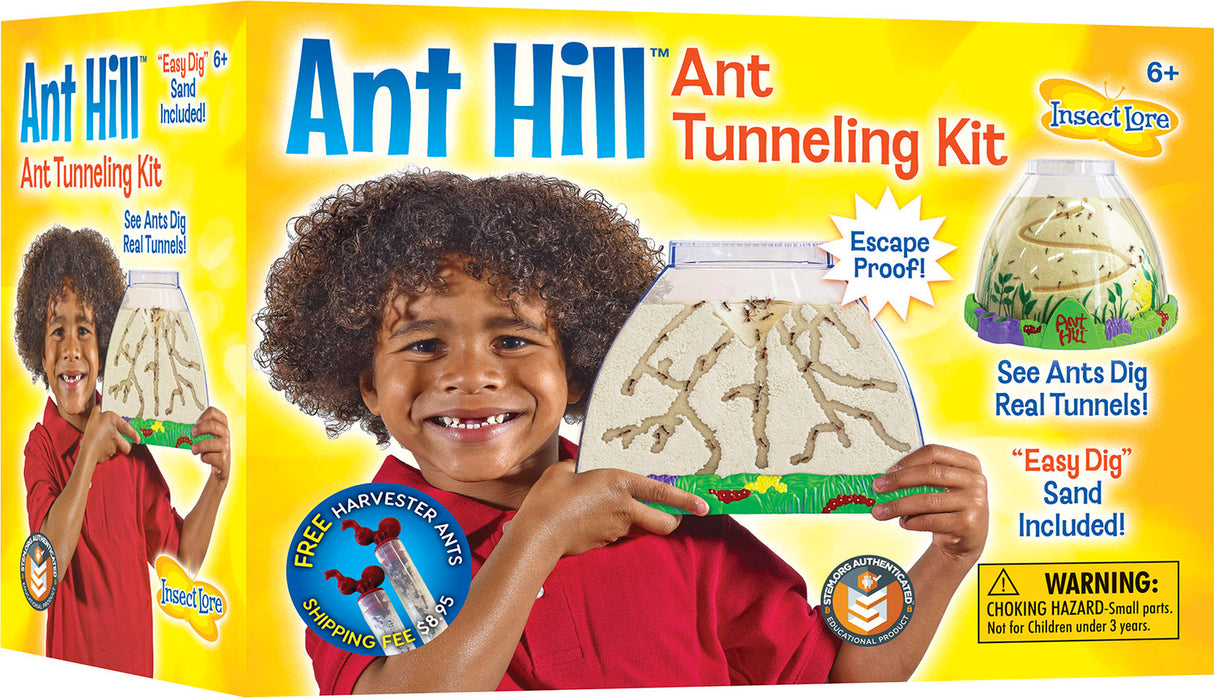 Ant Hill