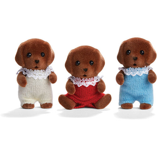 Chocolate Labrador Twins