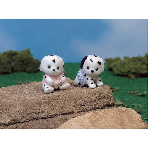 Dalmatian Dog Twins