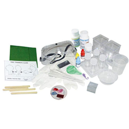 magical crystal oasis - Catalog