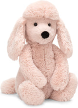 Bashful Poodle