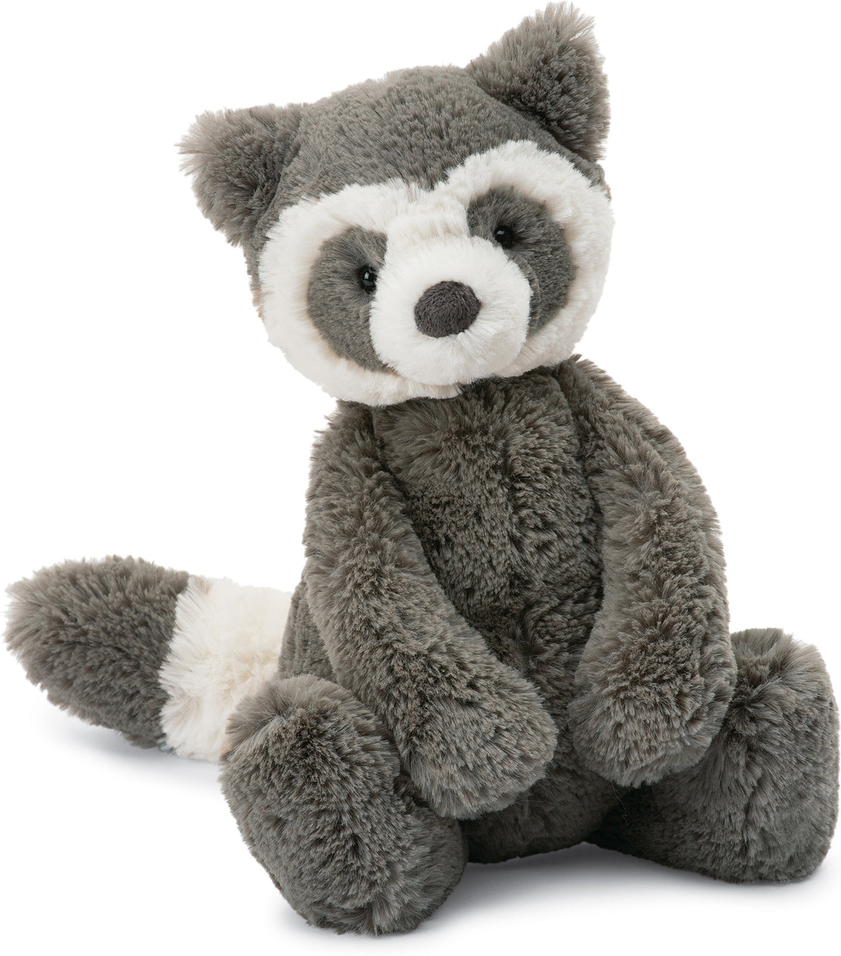 Bashful Raccoon